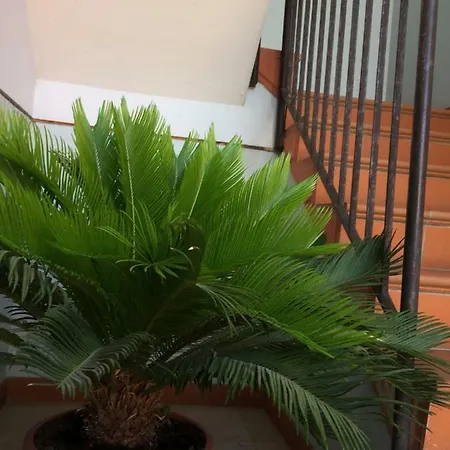 Апартаменты Casa Giuliano Pincara