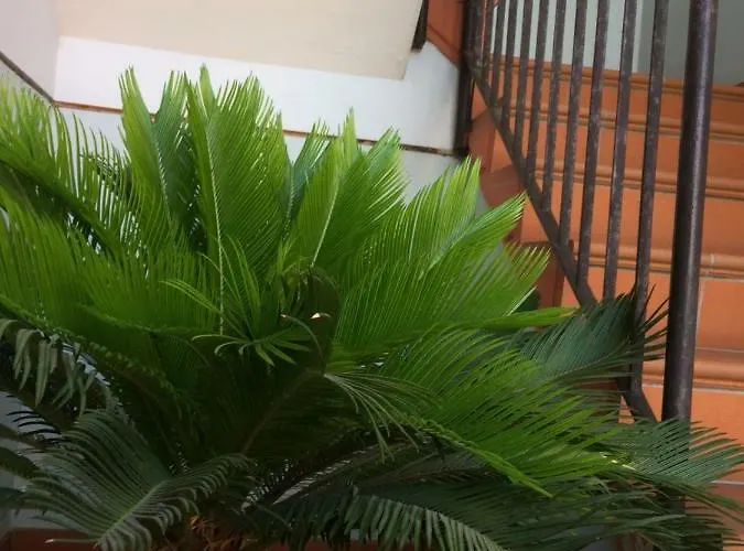 Διαμέρισμα Casa Giuliano Pincara